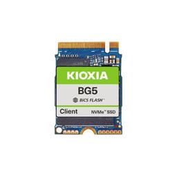 KIOXIA BG5 (256 GB)