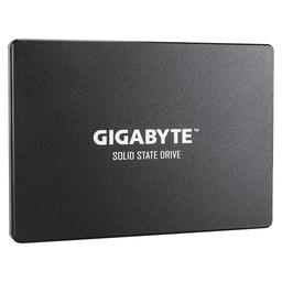 GP-GSTFS31256GTND