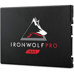 IronWolf Pro 125