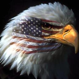 PCPartPicker profile picture for @American