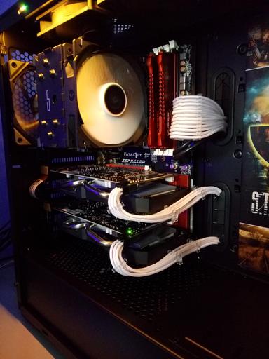 Stalker by Rhaoull - Intel Core i7-4790K, 2 x Radeon R9 270