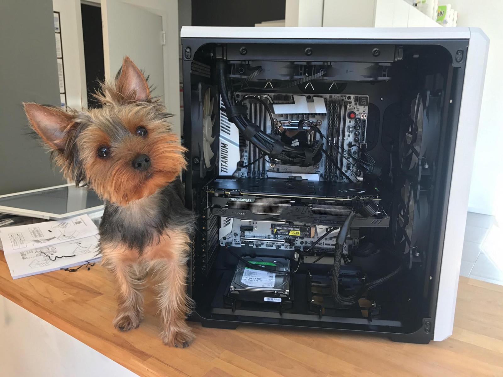 Dual GTX 1080ti Deep Learning Build by jjpkrohn - Intel Core i7